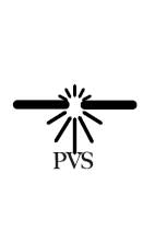 PVS